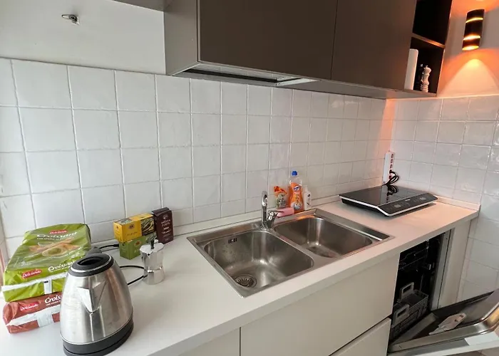 Penthouse Entire In Roma